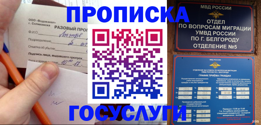 временная регистрация адрес в Гатчине